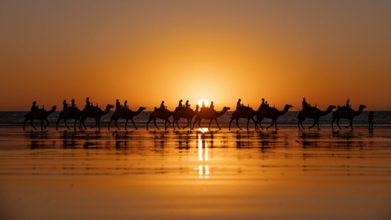 camel riding on cable beach, broome, western australia