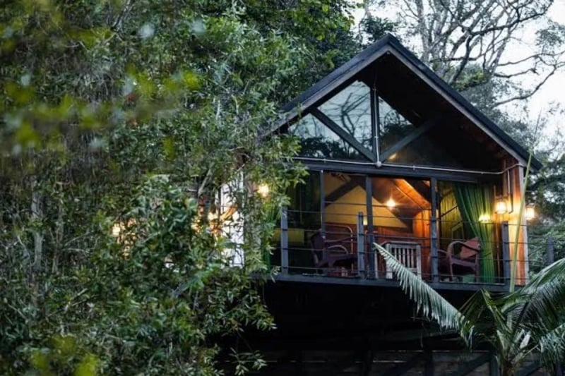 chiang mai glamping