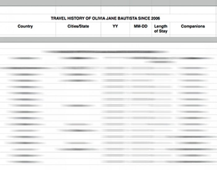 tourist affidavit for form visa your the of valid travels visas and expired summary a previous for