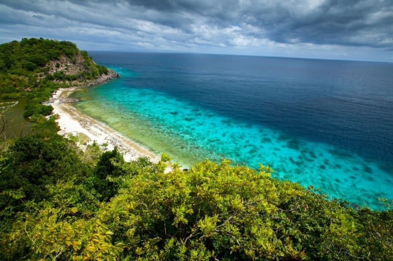 apo island phillipines