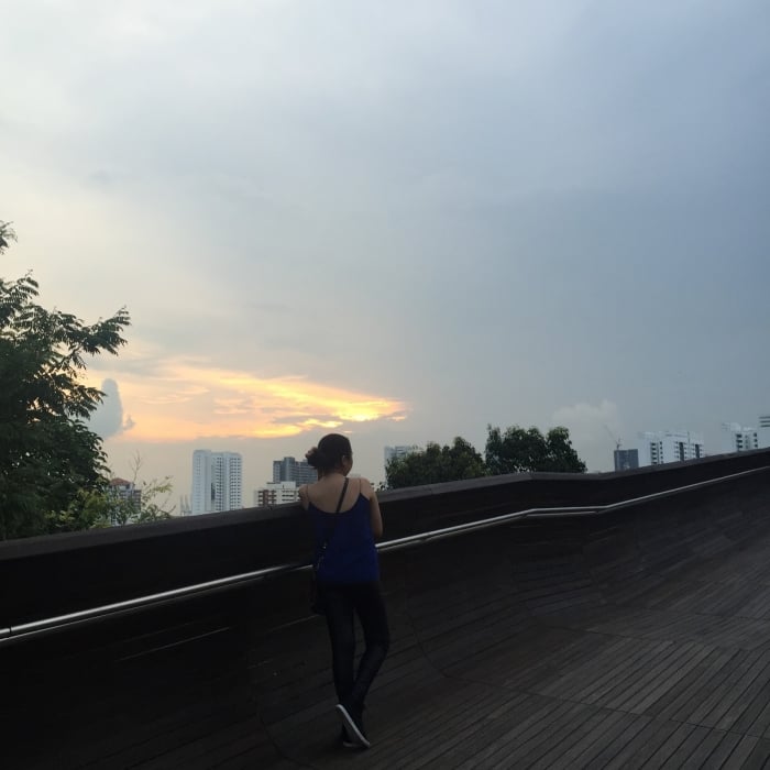 Henderson Waves Bridge