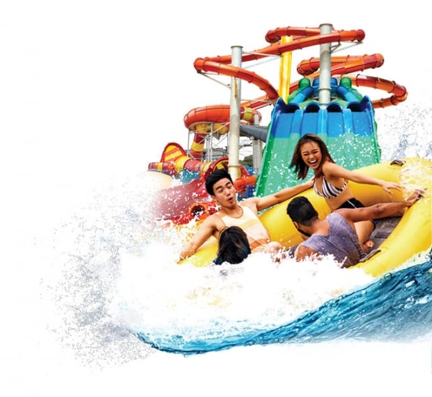 20% off Day Pass and More in Wild Wild Wet with DBS Card