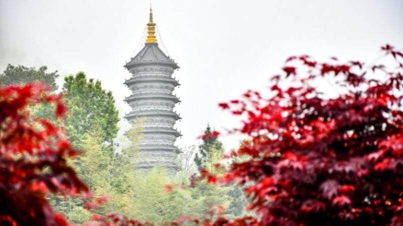 china season