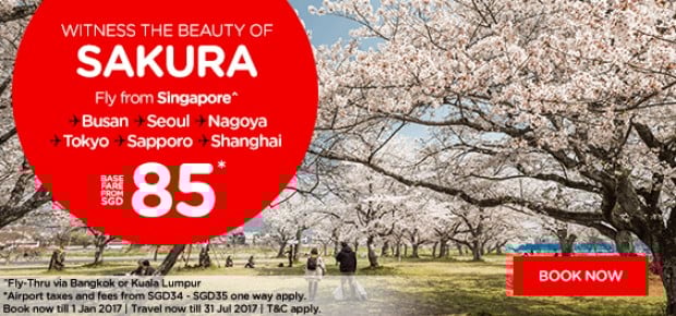 Witness the Beauty of Sakura with Flights on AirAsia from SGD85