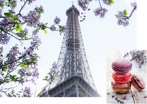Spring Travel Sale to Europe on Finnair from SGD899
