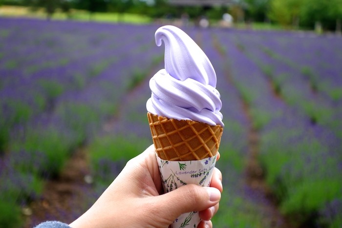 Lavender Soft-Serve Ice Cream