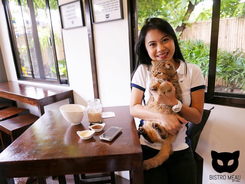 7 Most Adorable Pet Caf s in Manila  Tripzilla Philippines