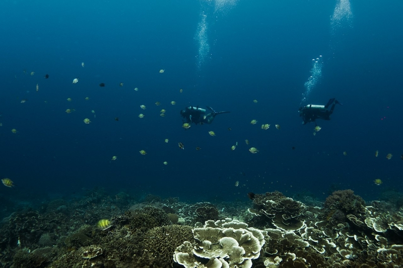 diving spots philippines