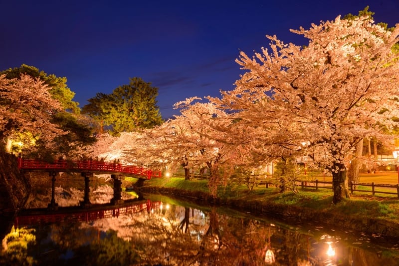 cherry blossom spots in japan aomori