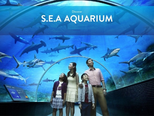 Enjoy 15% off Admission Ticket to S.E.A Aquarium with Citibank Cards