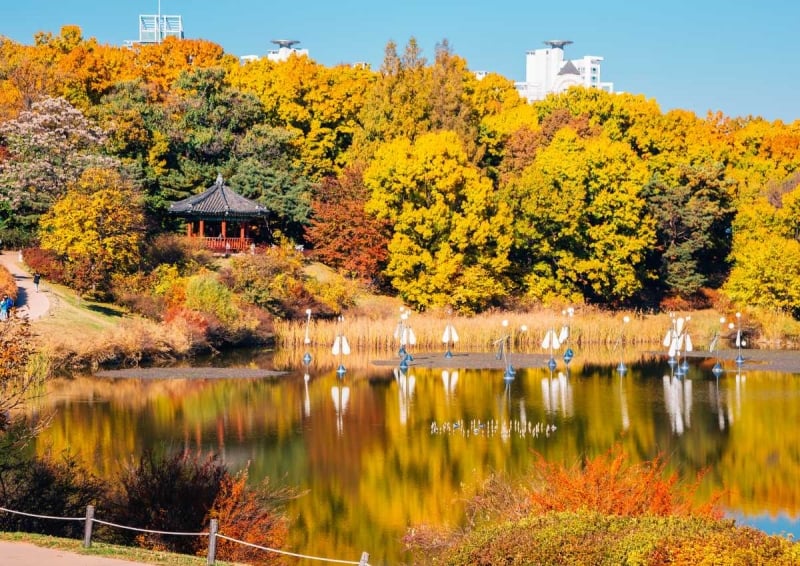 olympic park – places to visit in seoul during autumn 