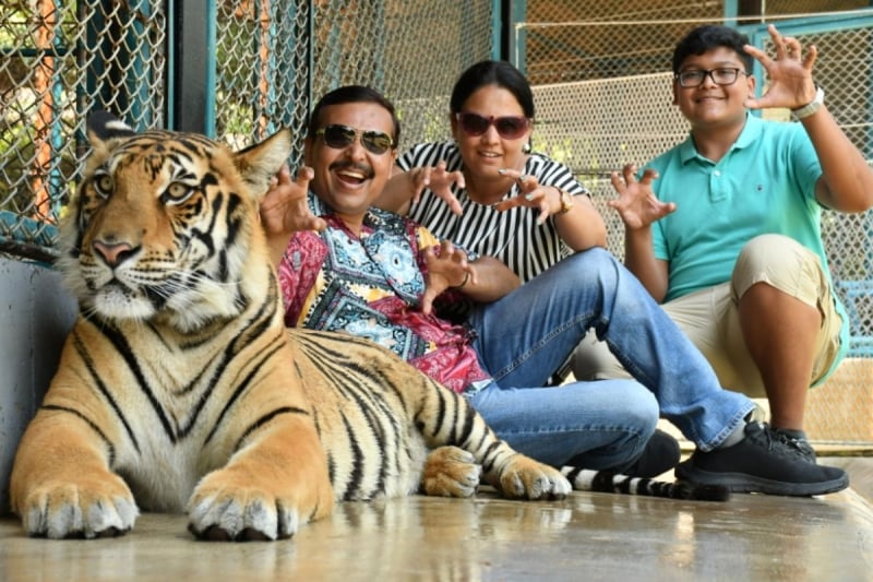 phuket tiger park