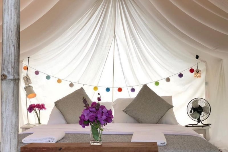 chiang mai glamping