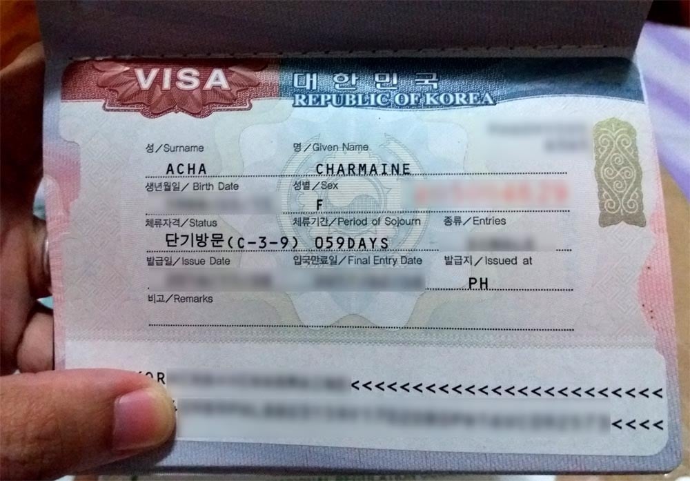 Am application visa. Korea visa. Виза в Корею. Корейская виза g1. Виза Корея 2022.