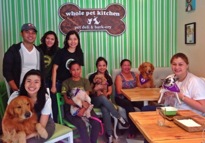 7 Most Adorable Pet Caf s in Manila  Tripzilla Philippines