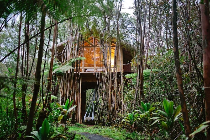 treehouse Airbnb in Hawaii