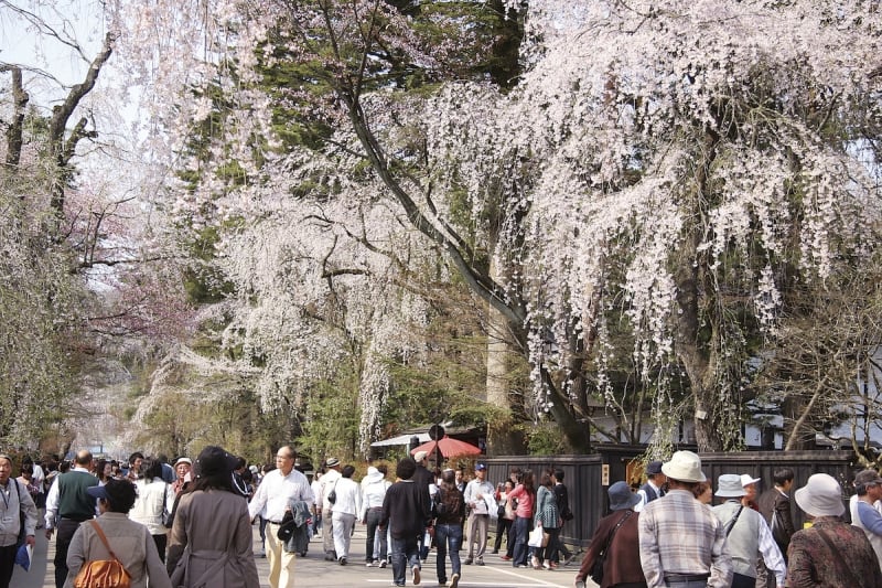 spring in tohoku