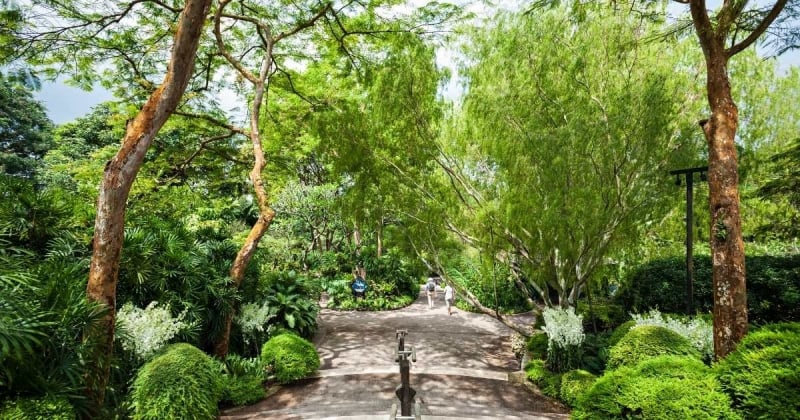 singapore botanical garden
