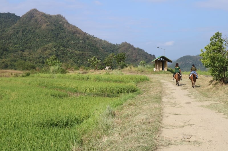 horseback riding jaybanga rice terraces