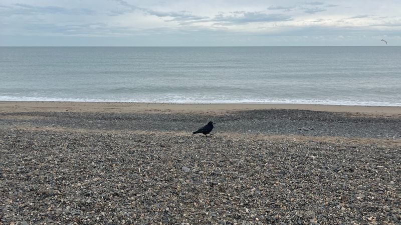 view of the sea in Bray