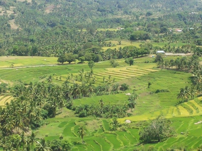 jaybanga rice terraces