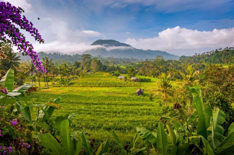sidemen bali