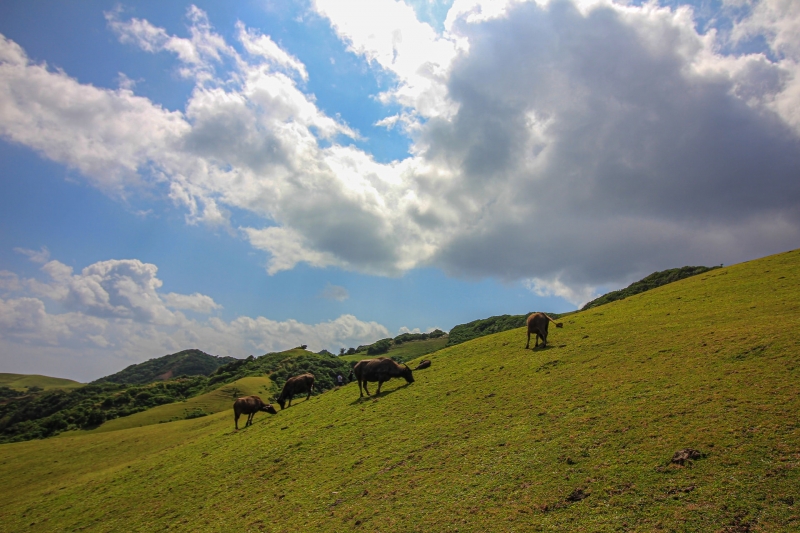 dear batanes