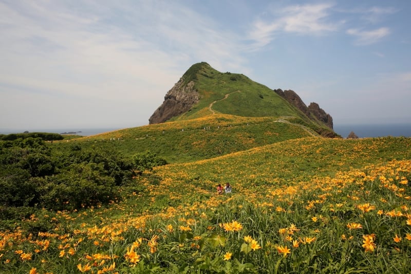 spring in tohoku