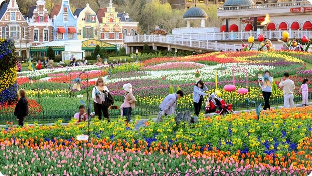 20 Reasons Why South Korea is a Terrible Travel Destination