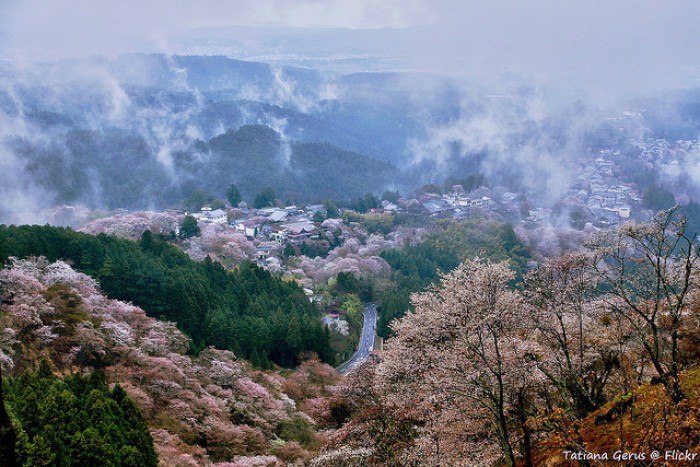 Mount Yoshino