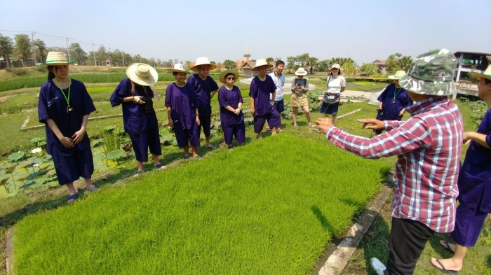 sukhothai airport farming