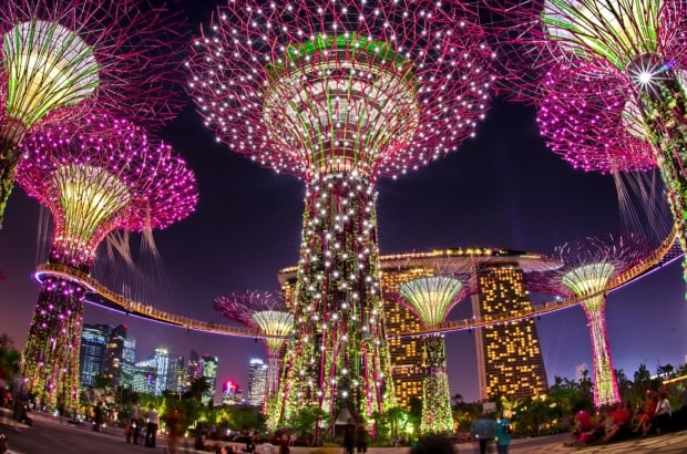 10% Savings for Local Residents with NTUC, PAssion, Safra and Home Team NS Card in Gardens by the Bay