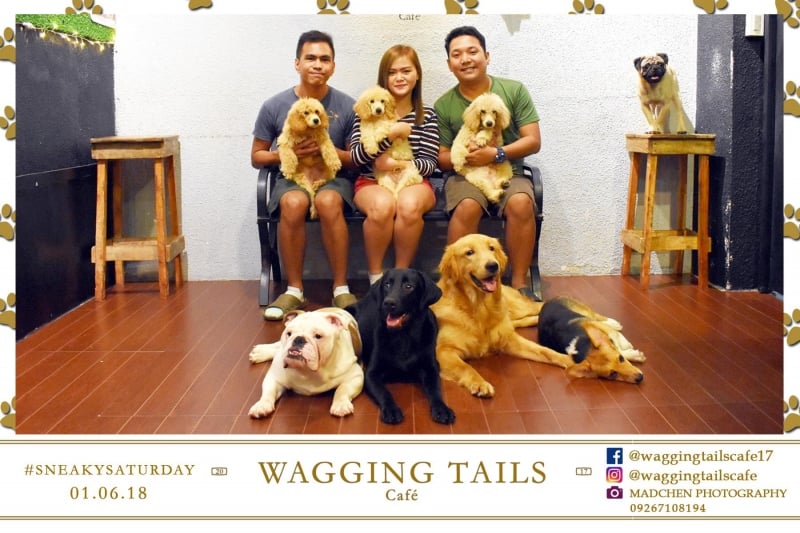 7 Most Adorable Pet Caf s in Manila  Tripzilla Philippines