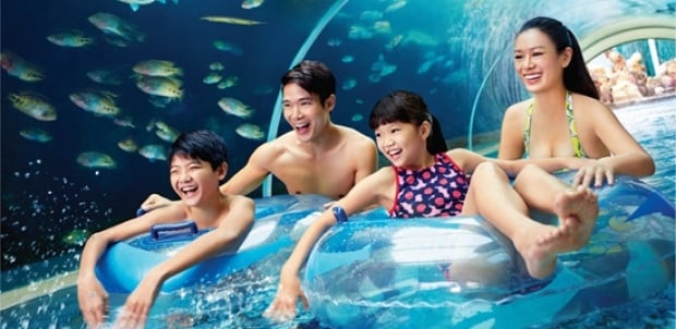 Mastercard® Exclusive: Adventure Cove Waterpark Adult Dated One-Day Ticket + SGD5 Meal Voucher & Free Plush at SGD38