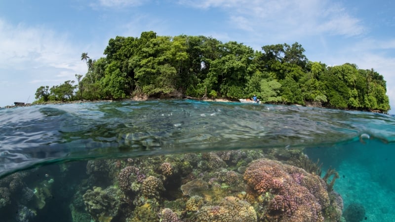 coral reefs in the solomon islands