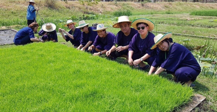 sukhothai airport farming