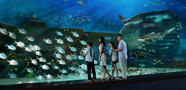 Mastercard® Exclusive: S.E.A. Aquarium Adult Dated One-Day Ticket + SGD5 Meal Voucher & Free Plush at SGD40