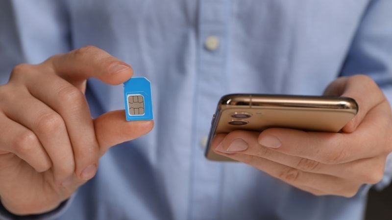 person holding sim card and phone