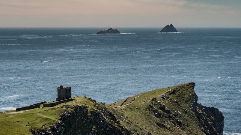 Bray head