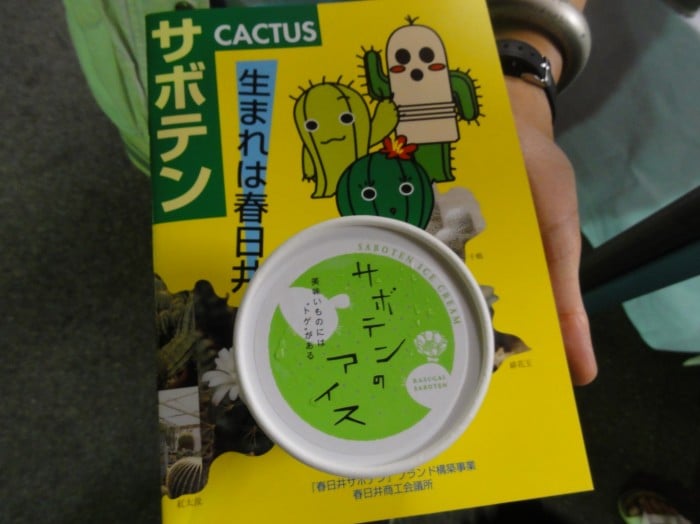 Cactus