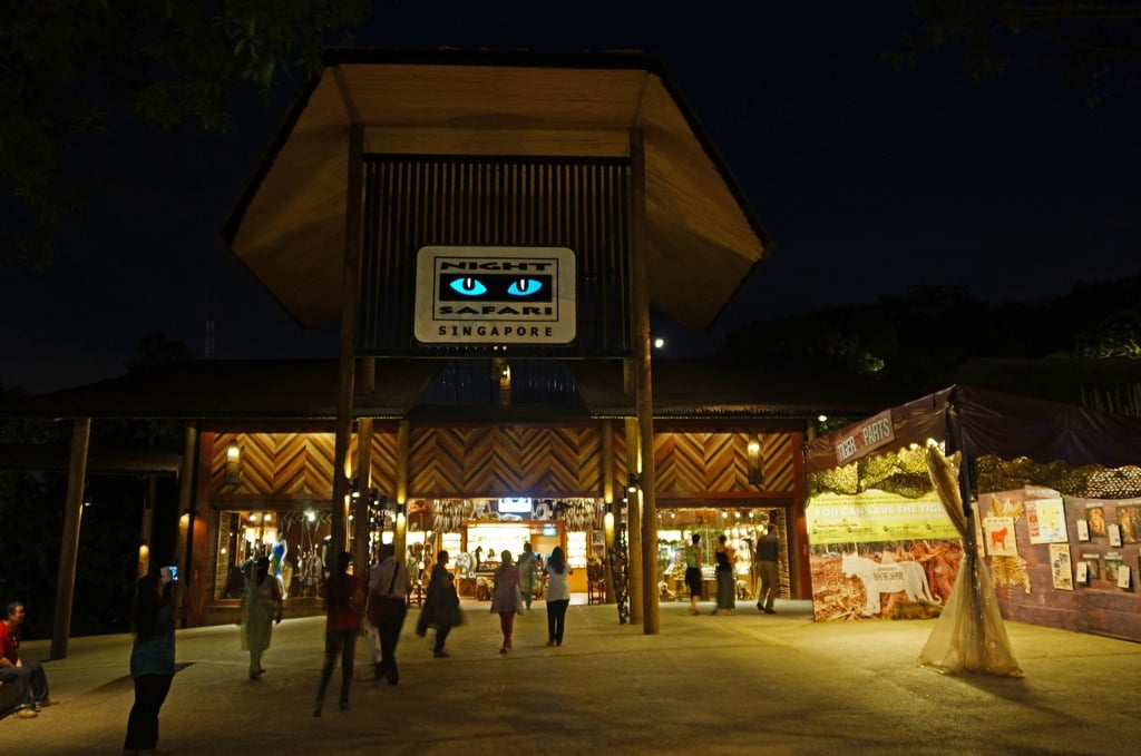 Night Safari Tour (Săn thú ban đêm)