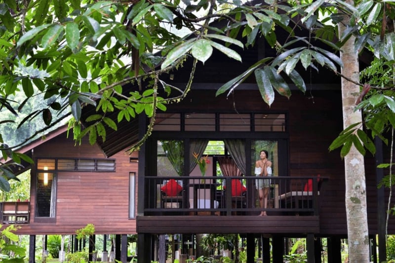 borneo rainforest lodge 