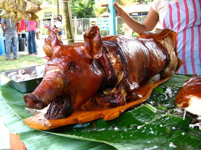 lechon