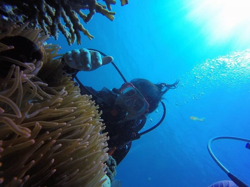 diving spots philippines