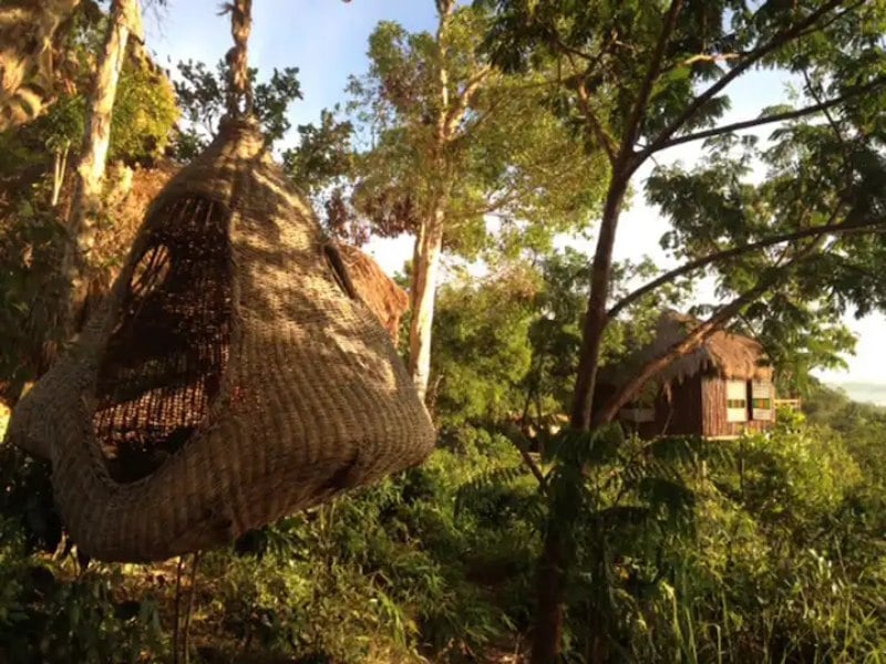 treehouse airbnb coron