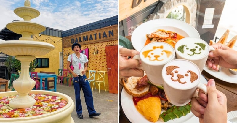 Dosan Dalmatian Cafe, Instagram spots in Bangkok