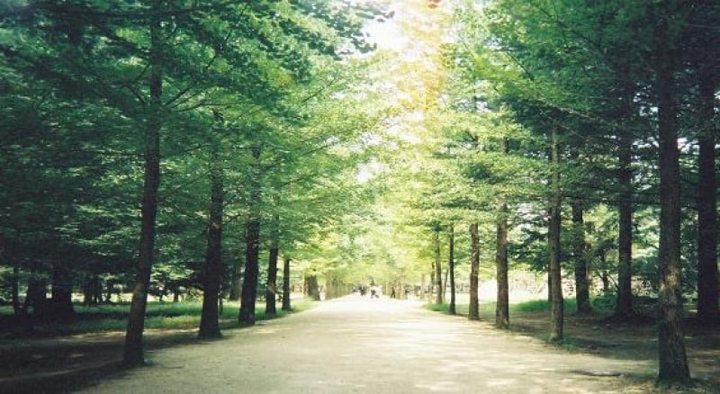 nami island day trip