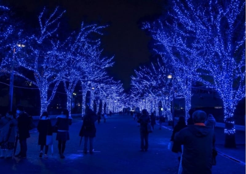 tokyo winter illuminations