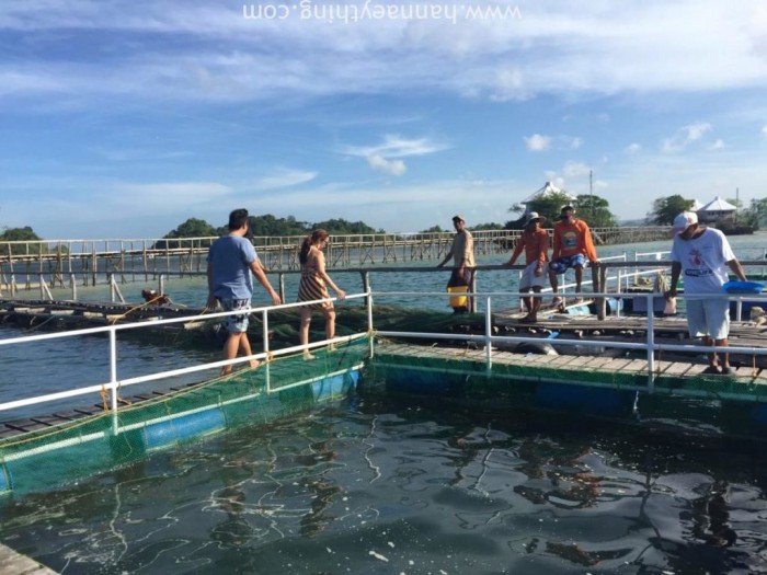 Southeast Asian Fisheries Development Center