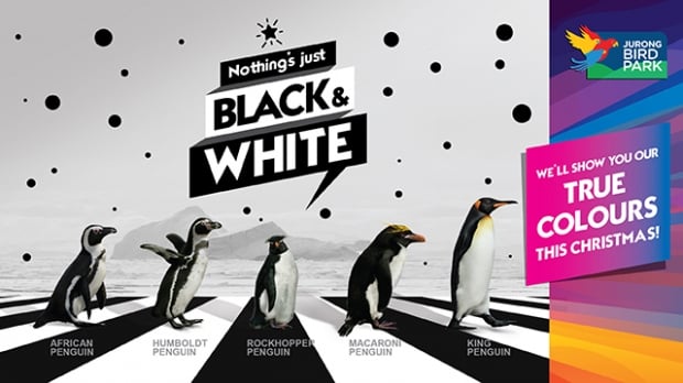 Up to 30% Off Discount in Jurong Bird Park Ticket with NTUC Card